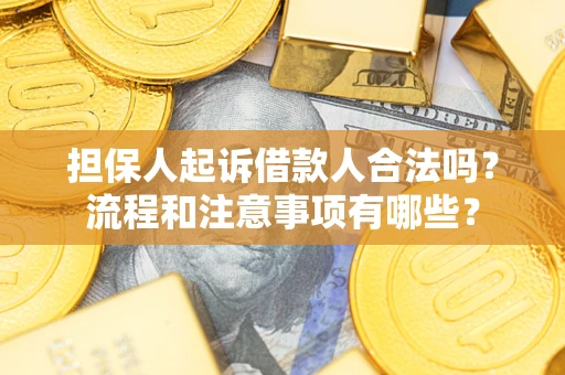 北京担保人起诉借款人合法吗？流程和注意事项有哪些？