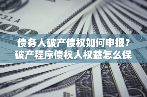 北京债务人破产债权如何申报？破产程序债权人权益怎么保障？