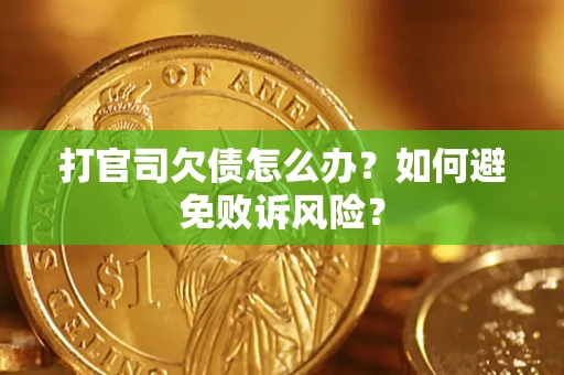 北京打官司欠债怎么办？如何避免败诉风险？