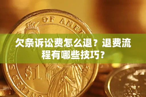 北京欠条诉讼费怎么退？退费流程有哪些技巧？